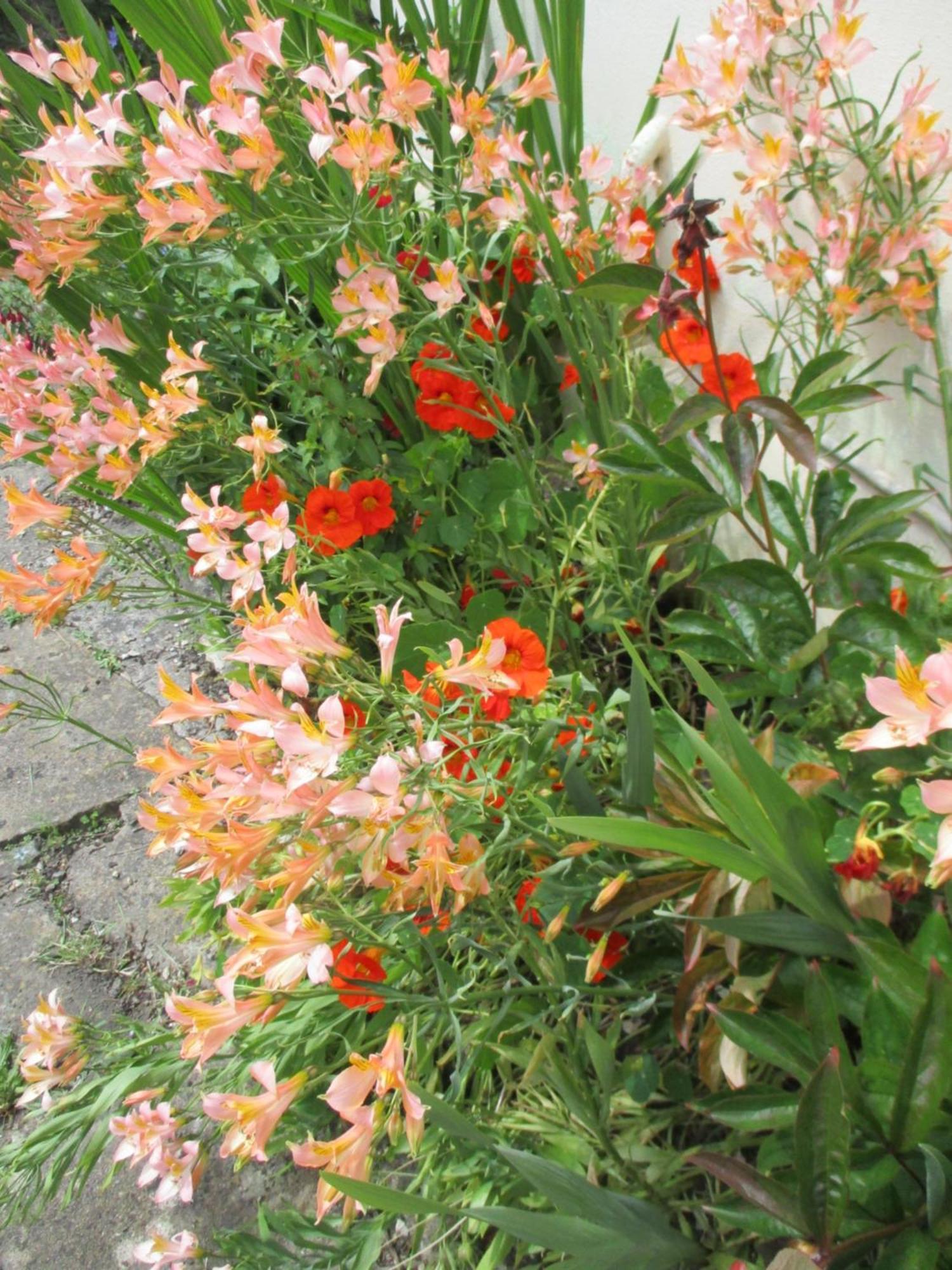 Dunraven Cottage Bath Exterior foto